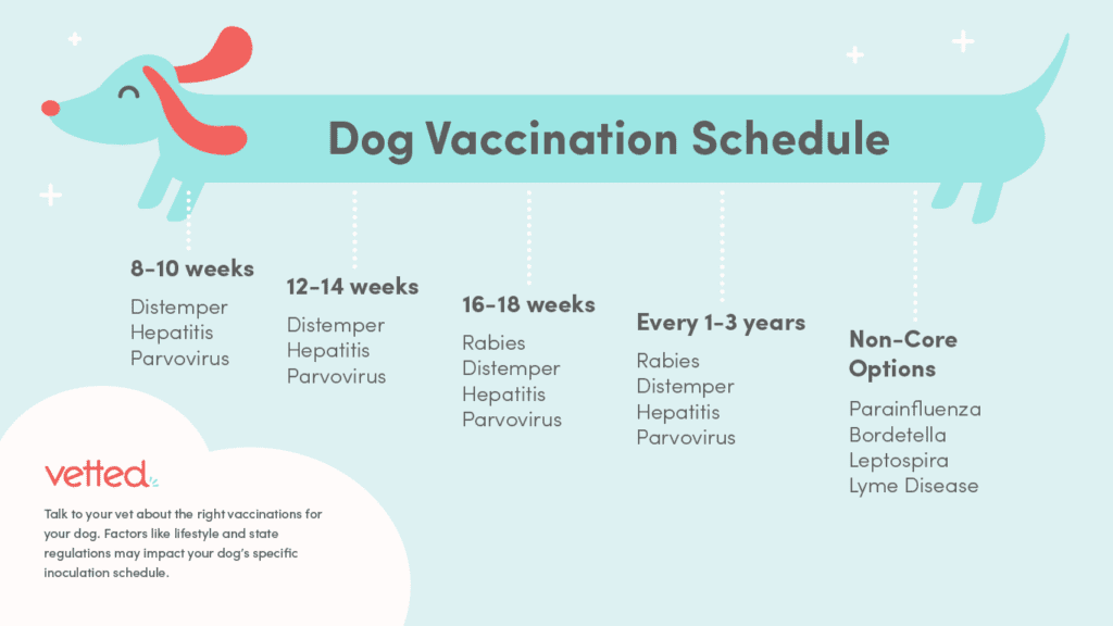 Dog Vaccination Schedule